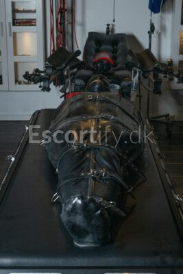 HVIDOVRE D.21 - 22 APRIL! PRIVAT DISKRET! DOBBELT DOMME, SLAVESAMMENFØRING, BRUG MIN SLAVES MUND.. FRISTER DET DIG?