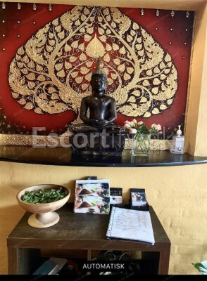 Luksus Thaimassage & Spa i glostrup. Vi har flere unge og dygtige massør