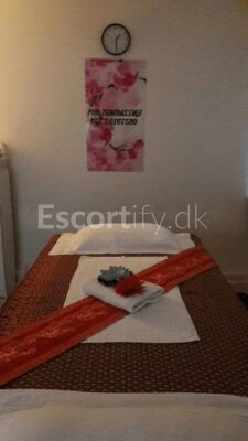 Ny åben Thai massage i Middelfart