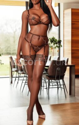 SØNDERJYLLAND KRUSÅ, VIP BYENS BEDSTE VARM SEXY GLÆDELIG PIGER, VI OPFYLDER ALLE DINE FANTASIER, GOD TID ER EN SELVFØLG, DISKRET PARKERING, KOLD OG VARM DRINKS