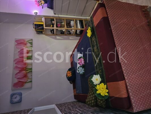 Thai wellness i sydhavnen/mozartsvej