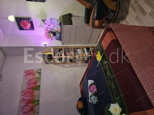 Thai wellness i sydhavnen/mozartsvej