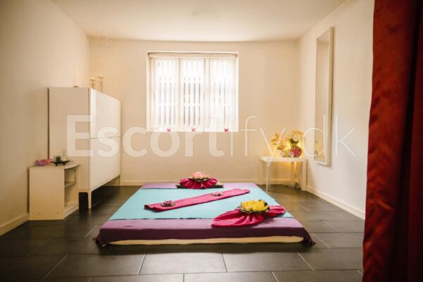 ️ Aalborg / massage ️ Ny oplevelse til massage og super behandling ⭐️⭐️