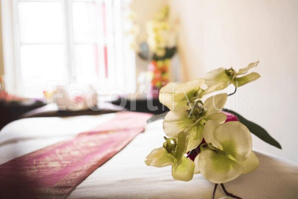 ️ Aalborg / massage ️ Ny oplevelse til massage og super behandling ⭐️⭐️