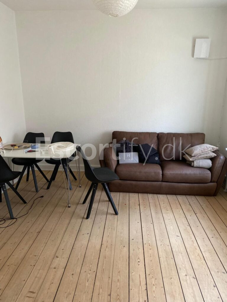 Apartment for rent in vejle, close to city centre