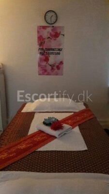Ny åben Thai massage i Middelfart
