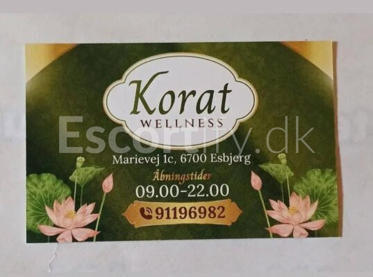 🇹🇭 Ny Thai Traditional Massage ️