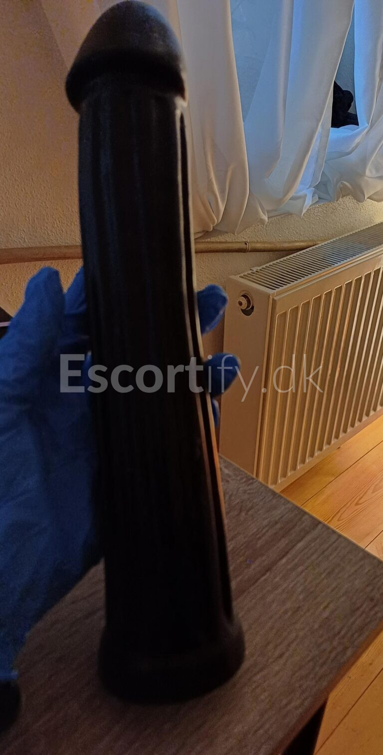 ODENSE BEST INDEPENDENT ESCORT. SOFT/HARD DOMINATION, GOLDEN SHOWER, STRAPON, FACE SITTING AND A LOT MORE️