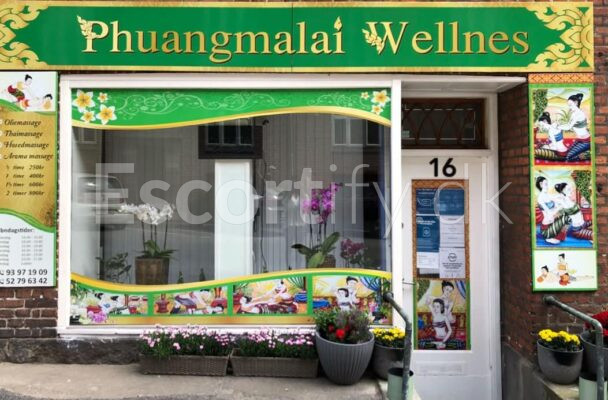 ️Phuangmalai wellness🇹🇭 Aarhus C Thai massage